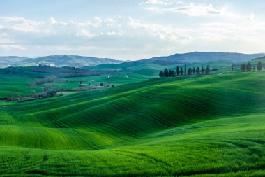 Green hills of the Tuscany countryside, Italy