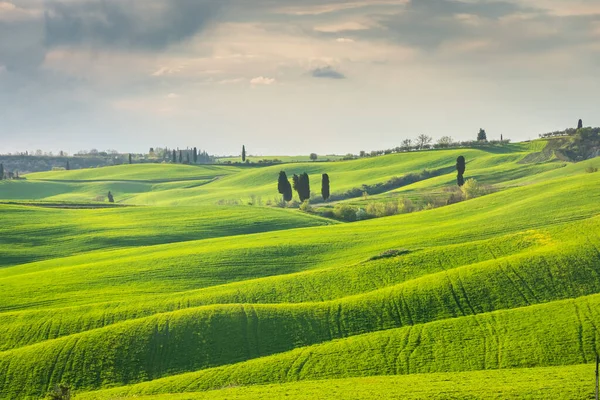 Green Hills Tuscany Countryside Italy — Stockfoto
