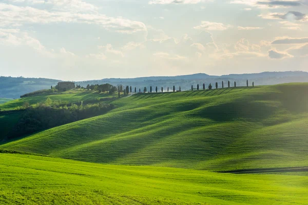 Green Hills Tuscany Countryside Italy —  Fotos de Stock