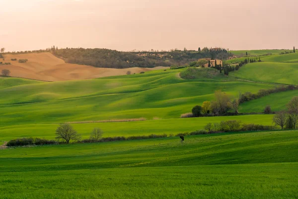 Vista Una Granja Sobre Las Verdes Colinas Campiña Toscana Italia —  Fotos de Stock