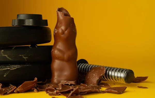 Dumbbell barbell weight plates crushing Easter chocolate bunny. Healthy fitness lifestyle composition, gym workout and fit training concept with copy space. Cheat day temptation vs sticking to diet.