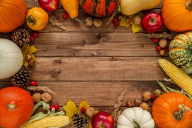 Variety of gourds, squash types and pumpkins. Autumn or fall flat lay composition frame with walnuts, hazelnuts, apples, cones, rosehips, kaki and corn on the cob. Copy space on wooden background.