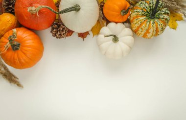 Pumpkins, cones and autumn leaves. Flat lay composition with copy space on white background for fall, Thanksgiving or Halloween.