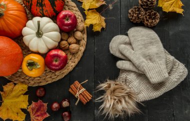 Warm, cosy knitted winter hat with pom pom and gloves. Fall flat lay composition, with pumpkins, apples, kaki, nuts, chestnuts, cinnamon sticks, cones and autumn leaves on wooden background.