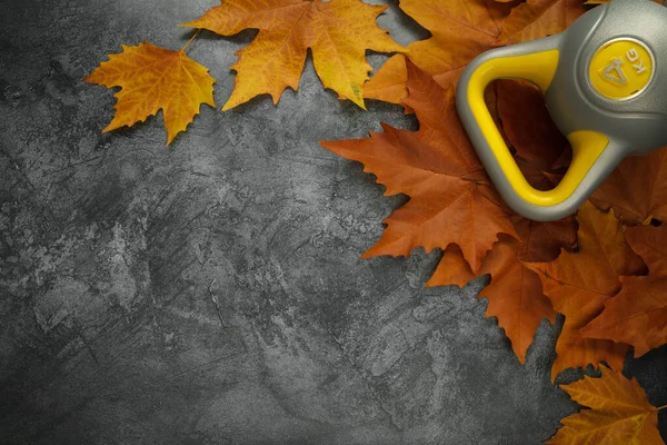 Heavy Kettlebell Autumn Leaves Gym Flat Lay Composition Copy Space — Stockfoto