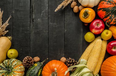 Yenilebilir ve dekoratif kabaklar, kabaklar, cevizler, koniler, elmalar, koçandaki kaki meyveleri ve mısır çeşitleri. Ahşap zemin üzerinde kopyalama alanı ile sonbahar düzlem kompozisyonu.