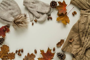 Sıcak, rahat bir kazak, eldiven ve ponponlu şapka. Palamut, koni ve sonbahar yapraklarıyla düzleşin. Boşluğu beyaz arkaplanda kopyala.