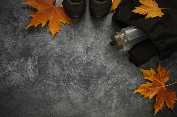 Training shoes and bottle of water in a black bag. Workout equipment set with autumn leaves. Gym flat lay composition with copy space, healthy fitness lifestyle fall concept.