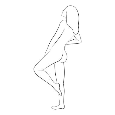 Line drawing of naked woman posing vector illustration, Young naked woman drawing from the back vector illustration