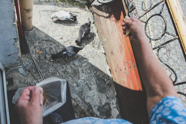 Yaşlı kadın balkonda kuşlara ekmek yediriyor..