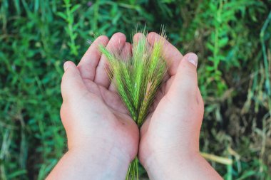 Adamın elinde yeşil çiviler var..