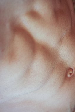 Yakışıklı erkek vücudu, karın kasları sıkıca bastırıyor..