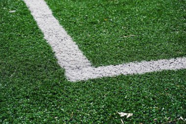 Futbol sahasının bir parçası, yeşil çimenler, beyaz işaretler..
