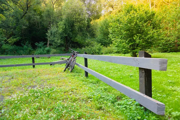 Bicycles stand near a wooden fence in the forest. Parking for bicycles.