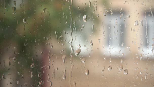 雨滴がガラスの下を走る 雨が窓の近くに落ちる 窓からの眺め 雨の日 ガラスの上に落ちる水滴の近くのビュー — ストック動画