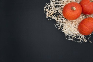 Balkabağım. Cadılar Bayramı konsepti. Cadılar Bayramı balkabağı seti. Fotokopi alanı olan siyah arkaplanda Cadılar Bayramı. 