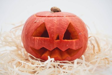 Cadılar Bayramı balkabağı. Beyaz arka planda Cadılar Bayramı balkabağı. Balkabağı yakın plan..