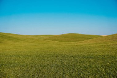 Mavi gökyüzünün arka planında yeşil alanlar. 