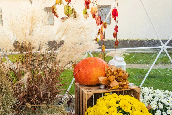 Autumn decoration, yellow flowers, pumpkin, leaves and lantern. Autumn season concept.