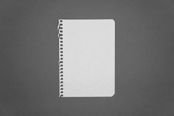 cuaderno escolar cerrado en estilo garabato. diario, cuaderno en
