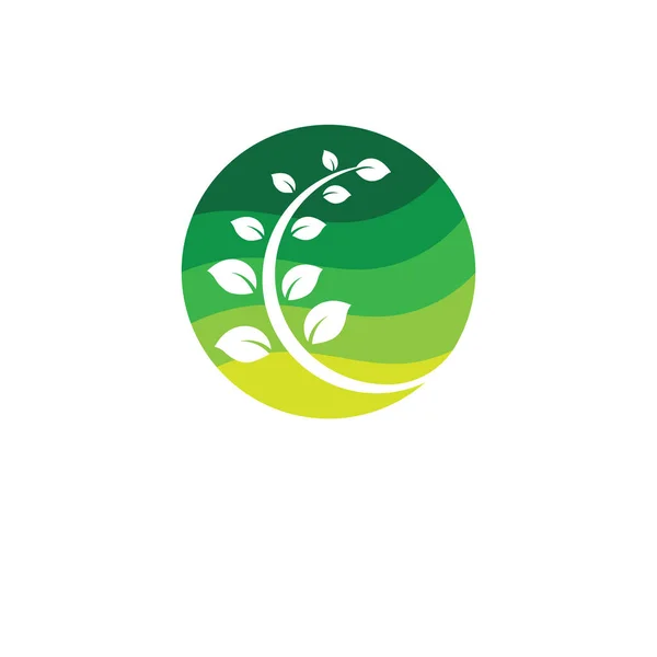 Écologie Des Feuilles Vertes Logo Élément Nature Vecteur — Photo