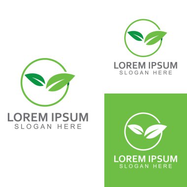 Yeşil yaprak logosu. Bahçelerin, bitkilerin ve doğanın vektör tasarımı.