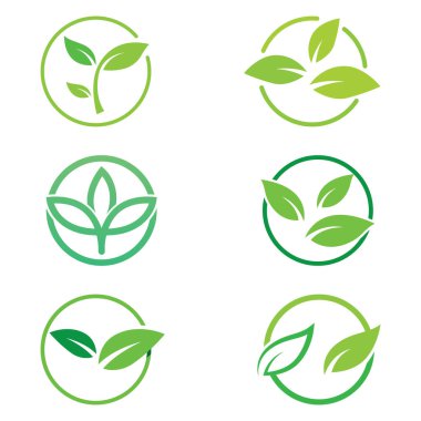 Yeşil yaprak logosu. Bahçelerin, bitkilerin ve doğanın vektör tasarımı.