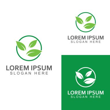 Yeşil yaprak logosu. Bahçelerin, bitkilerin ve doğanın vektör tasarımı.