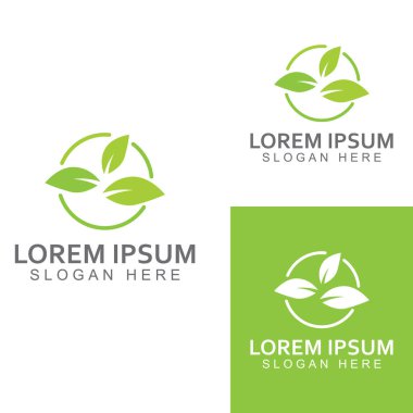 Yeşil yaprak logosu. Bahçelerin, bitkilerin ve doğanın vektör tasarımı.