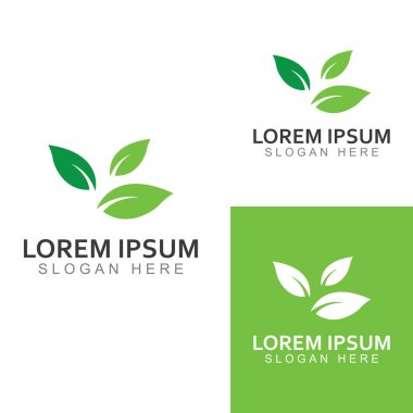 Yeşil yaprak logosu. Bahçelerin, bitkilerin ve doğanın vektör tasarımı.