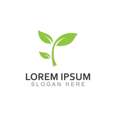 Yeşil yaprak logosu. Bahçelerin, bitkilerin ve doğanın vektör tasarımı.