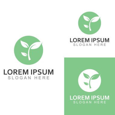 Yeşil yaprak logosu. Bahçelerin, bitkilerin ve doğanın vektör tasarımı.