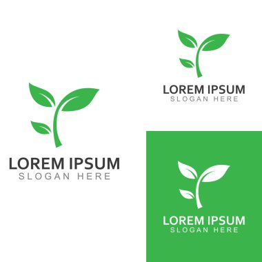 Yeşil yaprak logosu. Bahçelerin, bitkilerin ve doğanın vektör tasarımı.