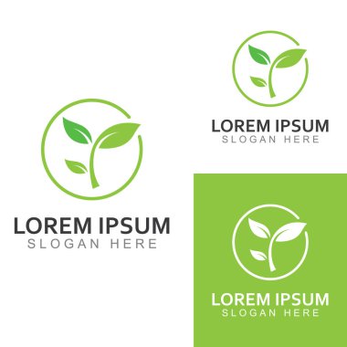Yeşil yaprak logosu. Bahçelerin, bitkilerin ve doğanın vektör tasarımı.