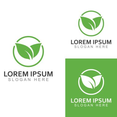 Yeşil yaprak logosu. Bahçelerin, bitkilerin ve doğanın vektör tasarımı.