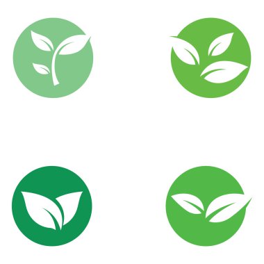 Yeşil yaprak logosu. Bahçelerin, bitkilerin ve doğanın vektör tasarımı.