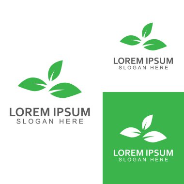 Yeşil yaprak logosu. Bahçelerin, bitkilerin ve doğanın vektör tasarımı.