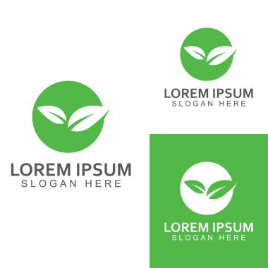 Yeşil yaprak logosu. Bahçelerin, bitkilerin ve doğanın vektör tasarımı.