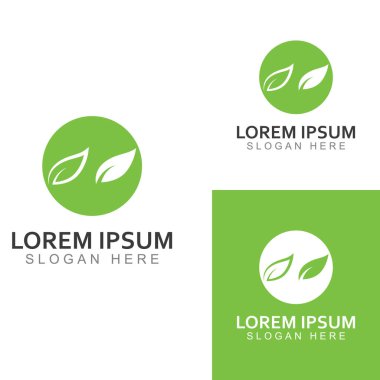 Yeşil yaprak logosu. Bahçelerin, bitkilerin ve doğanın vektör tasarımı.