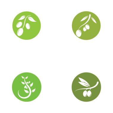 zeytin ikonu vektör çizim şablonu