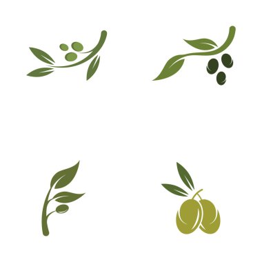 zeytin ikonu vektör çizim şablonu