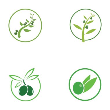 zeytin ikonu vektör çizim şablonu