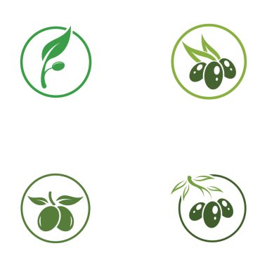 zeytin ikonu vektör çizim şablonu