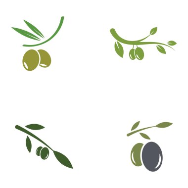 zeytin ikonu vektör çizim şablonu