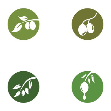 zeytin ikonu vektör çizim şablonu