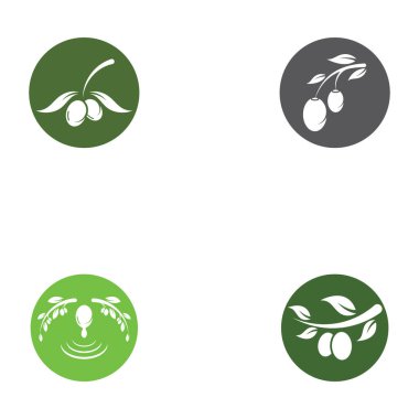 zeytin ikonu vektör çizim şablonu