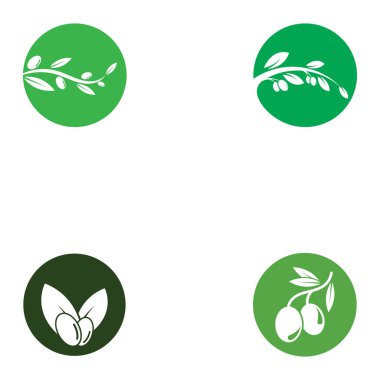 zeytin ikonu vektör çizim şablonu