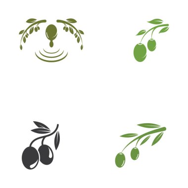 zeytin ikonu vektör çizim şablonu