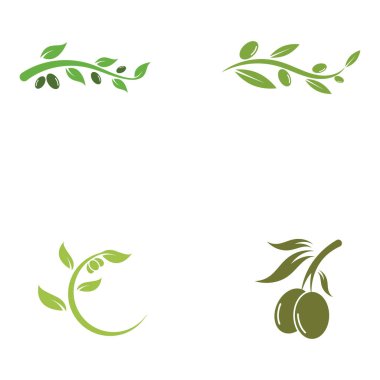 zeytin ikonu vektör çizim şablonu