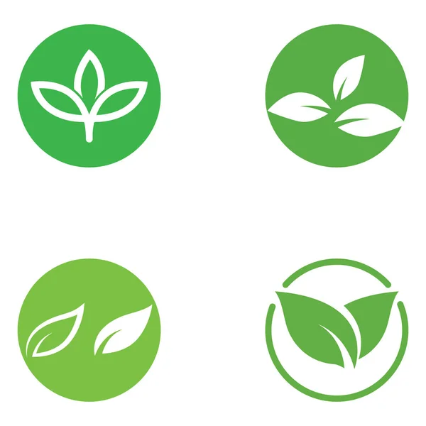 Grünes Blatt Logo Vektordesign Von Gärten Pflanzen Und Natur — Stockvektor